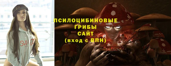 индика Переславль-Залесский
