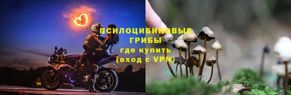 бутират Лиски
