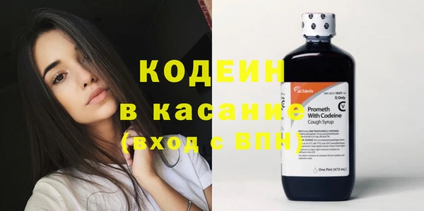 ECSTASY Пересвет