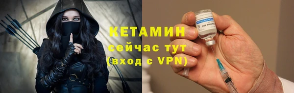 молекула духа Лабытнанги