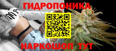 хмурый Кимры