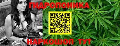 круглые Кингисепп