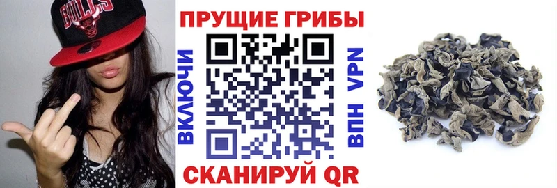 Галлюциногенные грибы MAGIC MUSHROOMS  МЕГА рабочий сайт  Усть-Кут 