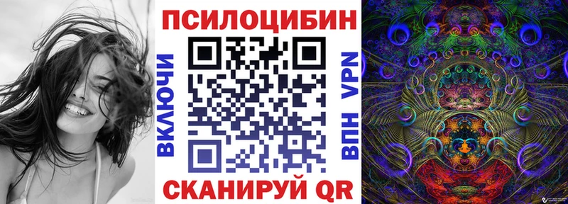 Галлюциногенные грибы Psilocybine cubensis Усть-Кут