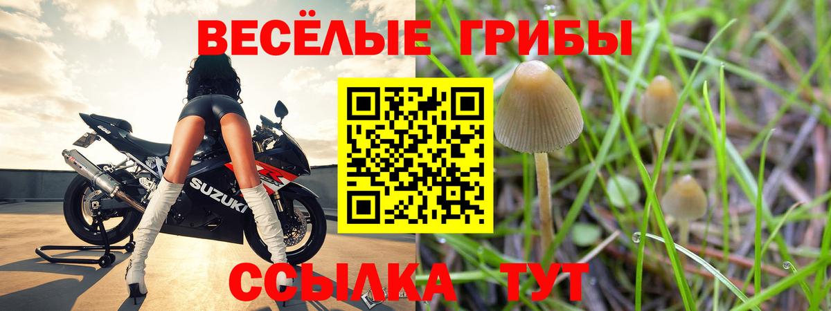 Галлюциногенные грибы Psilocybe  где продают   Вход с VPN  Усть-Кут  Псилоцибиновые грибы GOLDEN TEACHER 